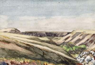Arizona Mesas, 1869-71 by Vincent Colyer